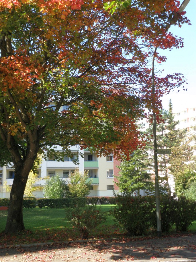 Chemnitzerstr 30-34-Droste-Huelshoff579-Luitpolstr44-1