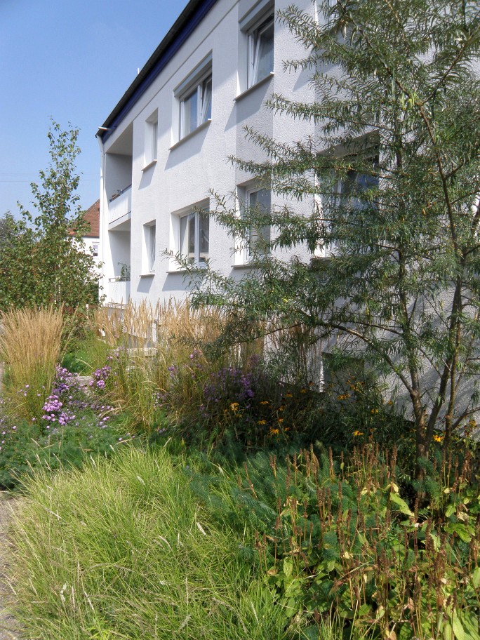 Unterer Stadtweg 8